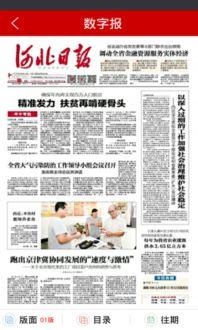 娱乐日报爆料新闻最新消息,最新爆料揭秘明星幕后故事